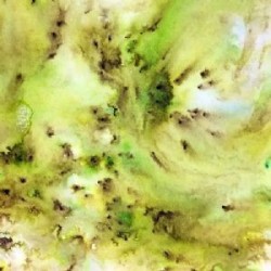 PaperArtsy - Infusions - Slime
