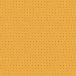 MyColors - 12x12 Mini Dots...