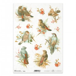Itd Collection - Rice paper...