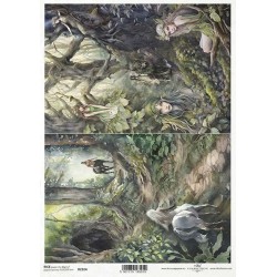 Itd Collection - Rice paper...